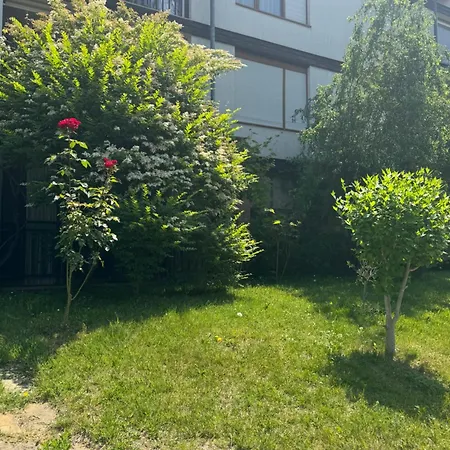 Appartamento Santa Marina 503 *
